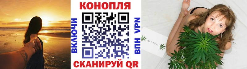 Марихуана семена  магазин  наркотиков  Ивангород 